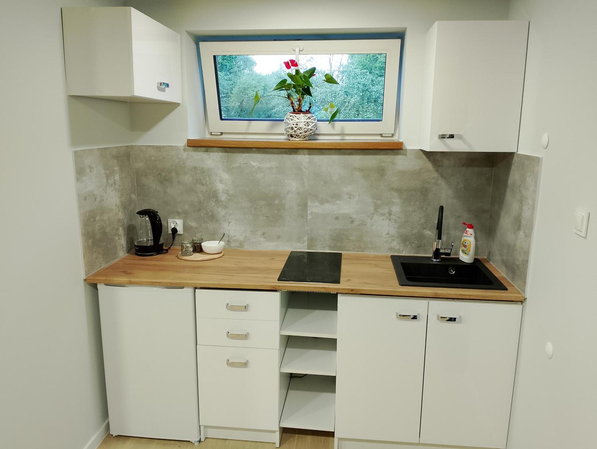 פז'מיסל Apartament Z Ogrodem I מראה חיצוני תמונה